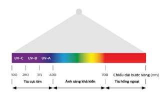 Đèn khử trùng Philips UV-C áp tường