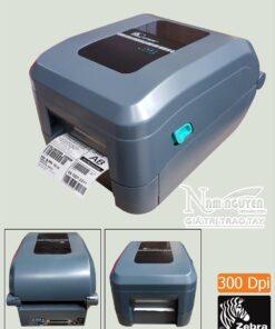 Máy in mã vạch Zebra GT800 (300 Dpi)