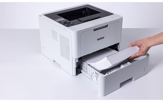 Máy in laser đen trắng Brother HL-L6210DW ảnh 2