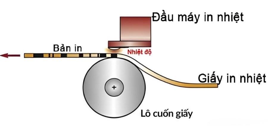 Ưu nhược điểm của máy in nhãn nhiệt 4 Cấu tạo cơ bản của máy in nhãn nhiệt