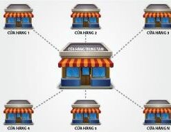 Server quản lý chuỗi cửa hàng Tuki