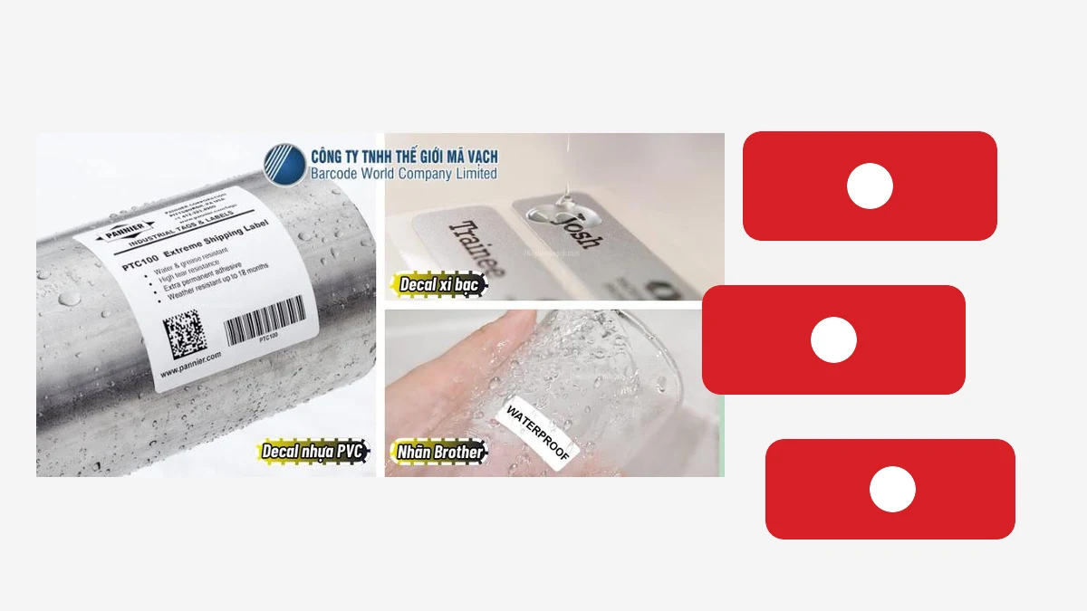 Kích Thước Tem Nhãn Phổ Biến & Cách Chọn Đúng Khổ 3 Hình minh họa: Tem vận chuyển và logistics: 100x100, 100x150mm