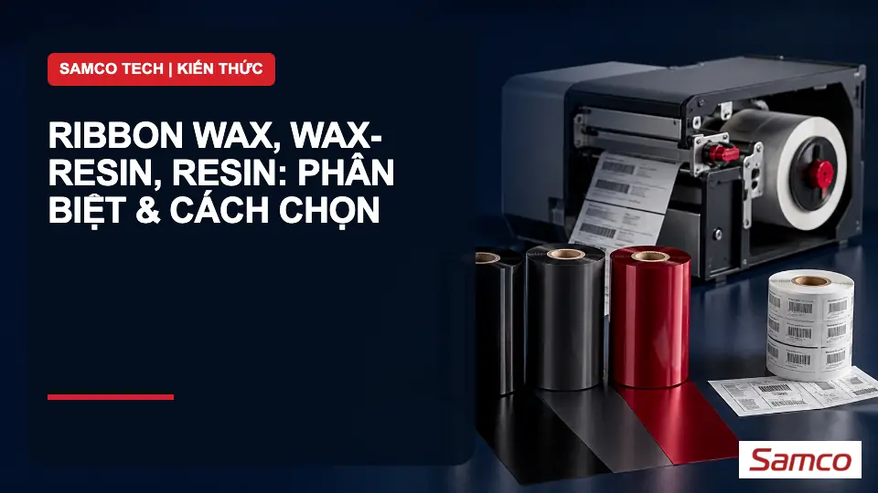 Ribbon Wax, Wax-Resin, Resin: phân biệt & cách chọn