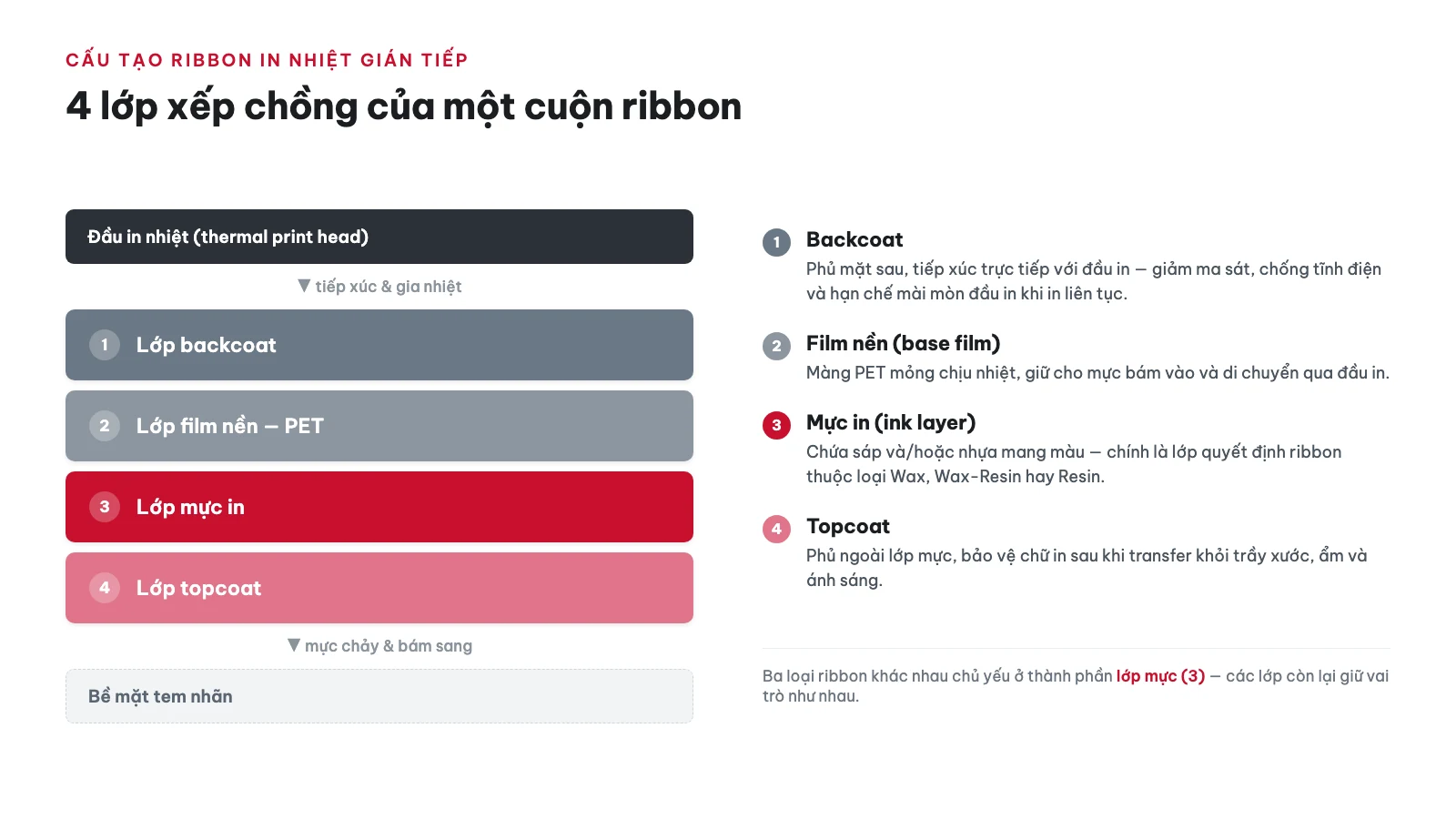 Ribbon Wax, Wax-Resin, Resin: phân biệt & cách chọn 12 Ribbon in nhiệt được cấu tạo từ những lớp nào? — ribbon wax, wax-resin, resin: phân biệt & cách chọn