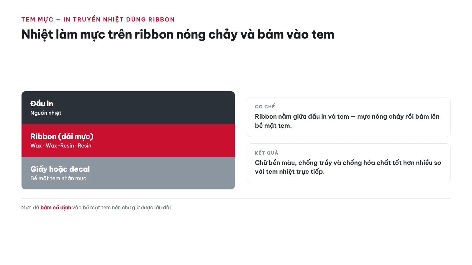 So sánh tem nhiệt vs tem mực 14 Tem mực (in truyền nhiệt dùng ribbon) hoạt động như thế nào?